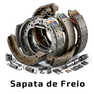 Sapata de Freio